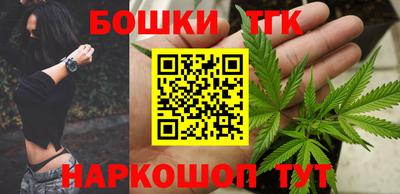 шишки Кимры