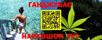 шишки Кимры