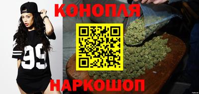 шишки Кимры