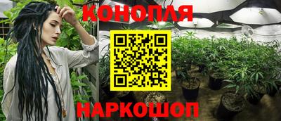 крисы Кинель