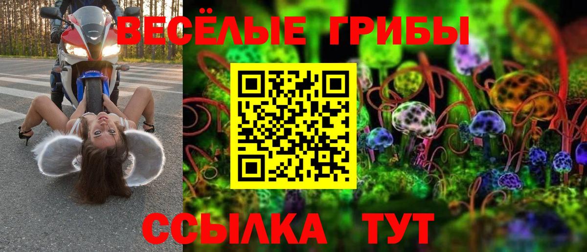 Псилоцибиновые грибы Psilocybe  Вход с VPN  Дубна 