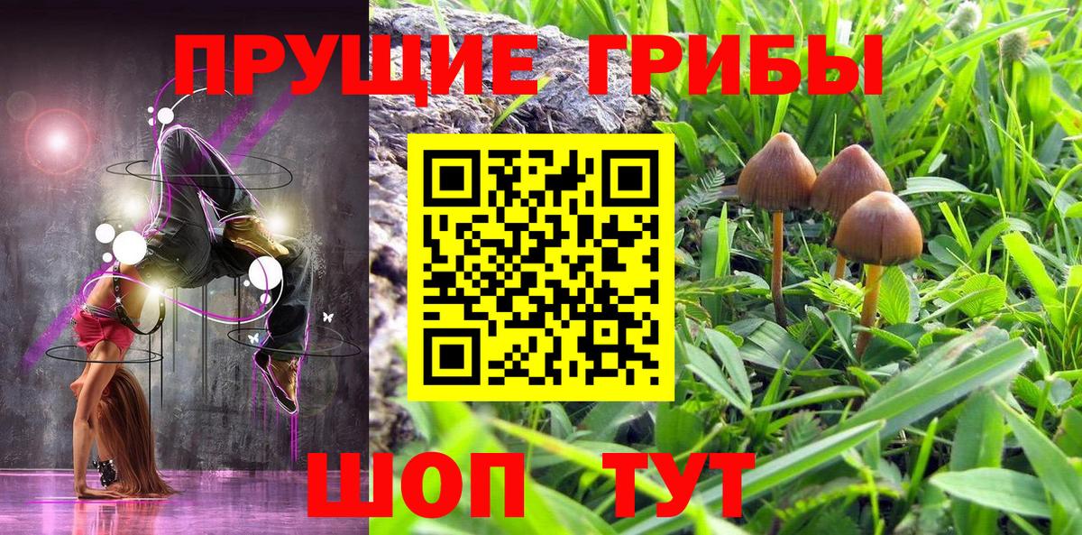 Псилоцибиновые грибы мицелий Дубна